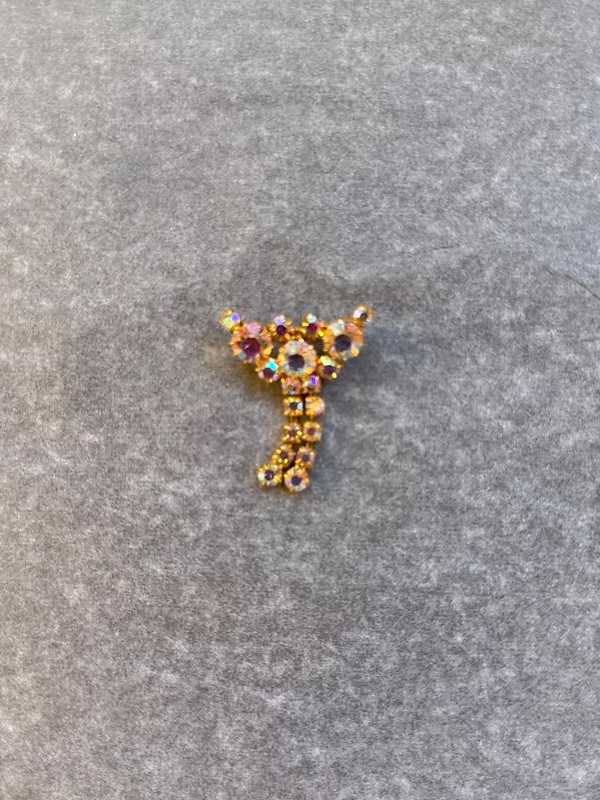 Vintage Aurora Broş